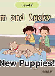 New Puppies!