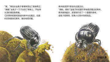 杂技演员屎壳郎绘本故事第5页