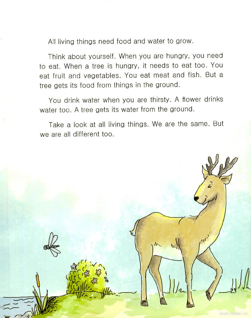 Living Things绘本故事第3页