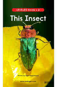This Insect