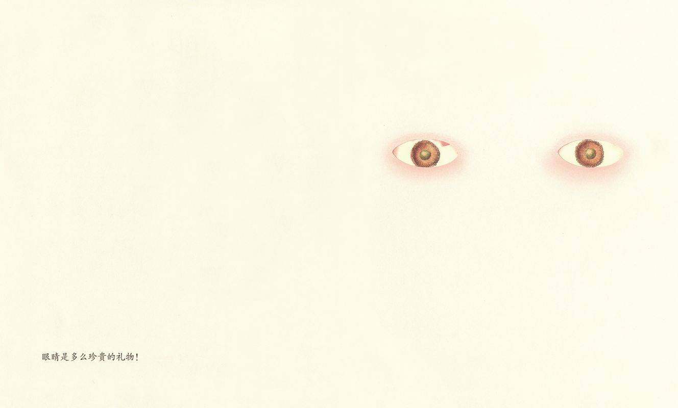 眼绘本故事第2页