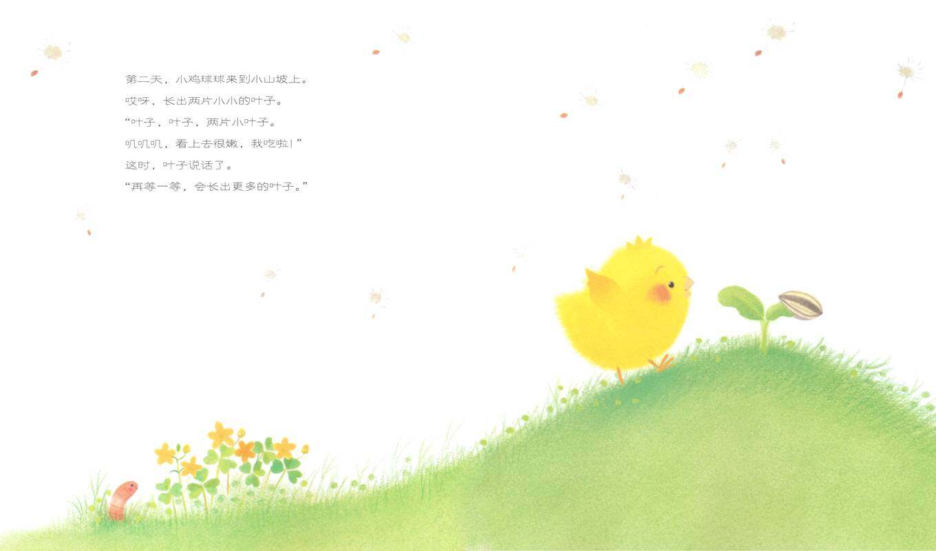 小鸡球球和向日葵绘本故事第4页