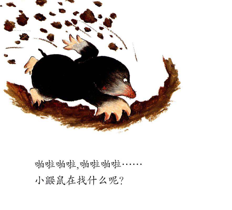 啪啦啪啦——砰绘本故事第2页