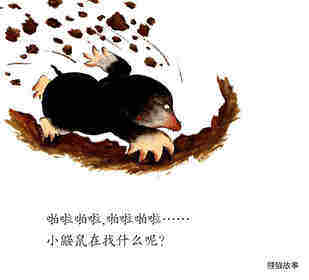 啪啦啪啦——砰绘本故事第2页