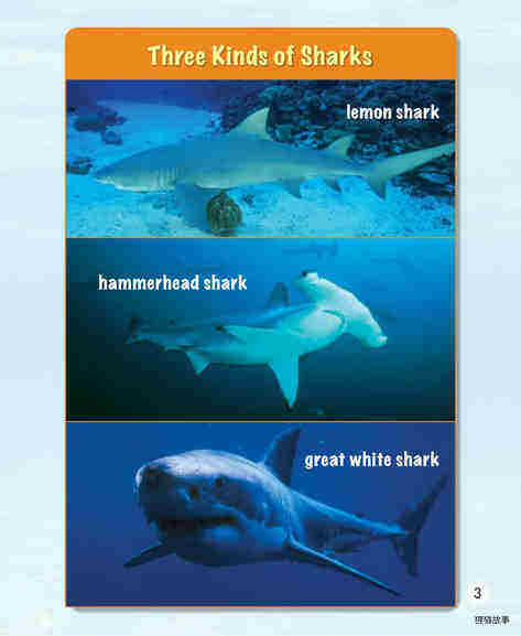 Eugenie Clark,Shark Lady绘本故事第4页