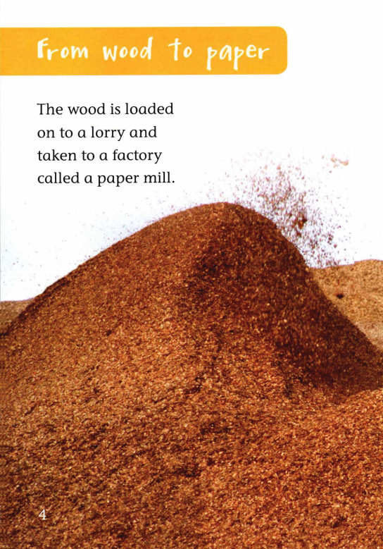 From Tree to Book绘本故事第5页