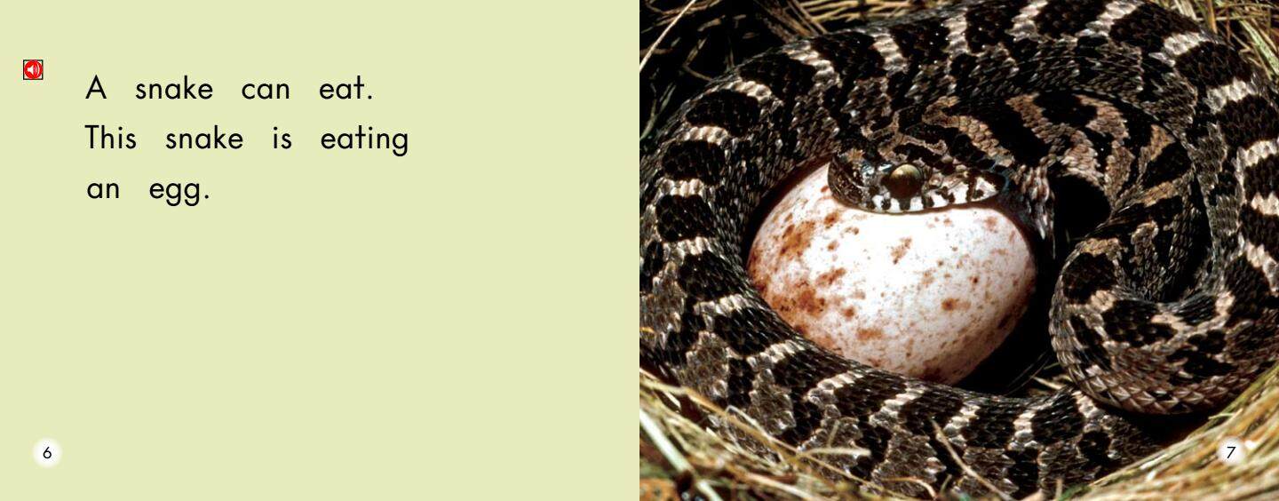 All About Snakes绘本故事第5页