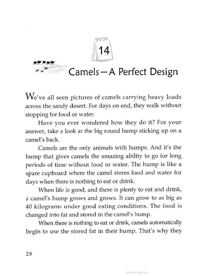 Camels-A Perfect Design绘本故事第2页