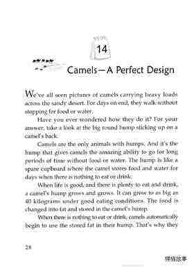Camels-A Perfect Design绘本故事第2页