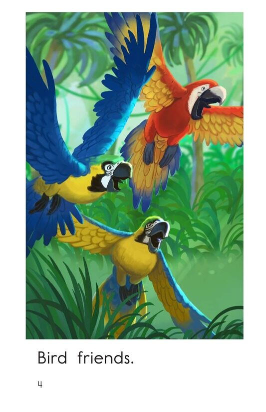 Jungle Friends绘本故事第4页