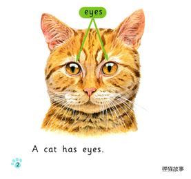 Cats绘本故事第3页
