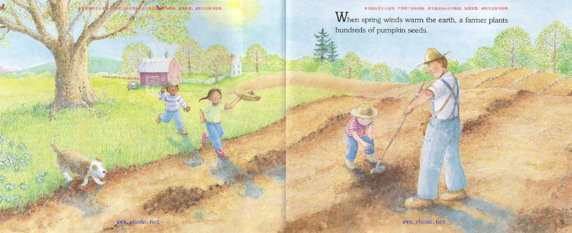 Seed to Pumpkin绘本故事第3页