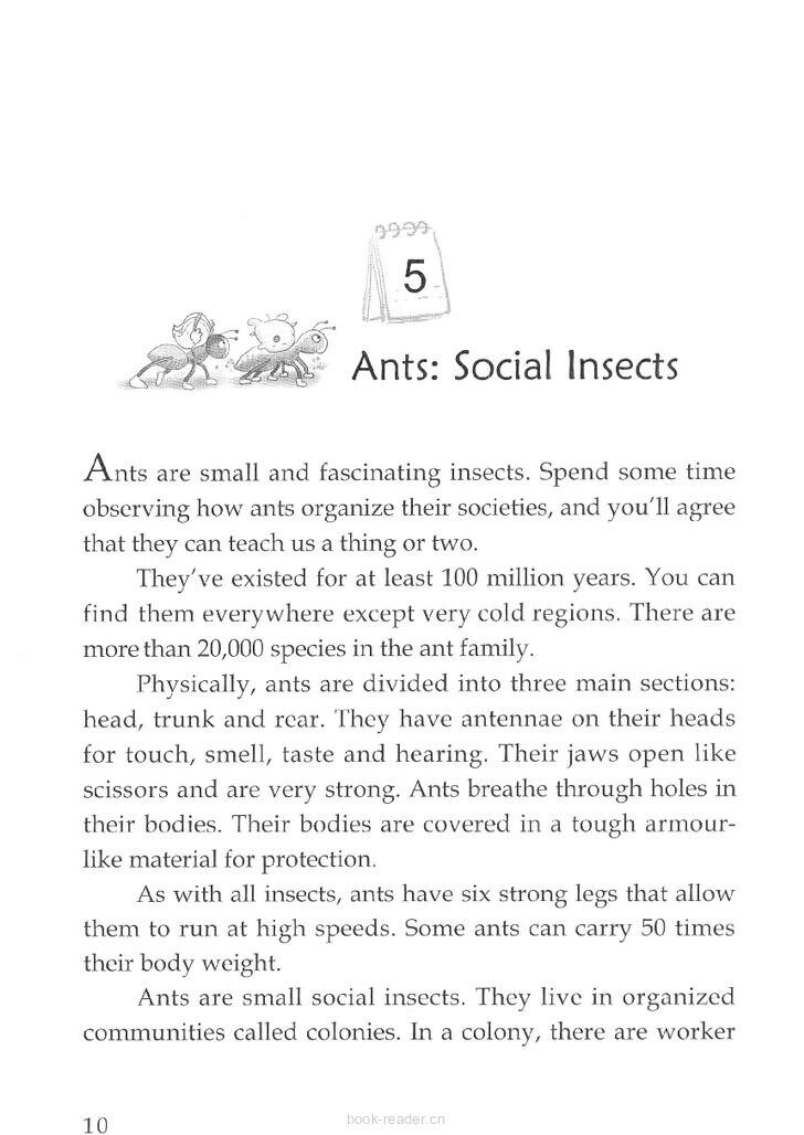 Ants: Social Insects 绘本故事第2页