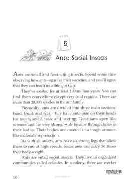 Ants: Social Insects 绘本故事第2页