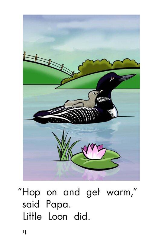 Little Loon绘本故事第4页