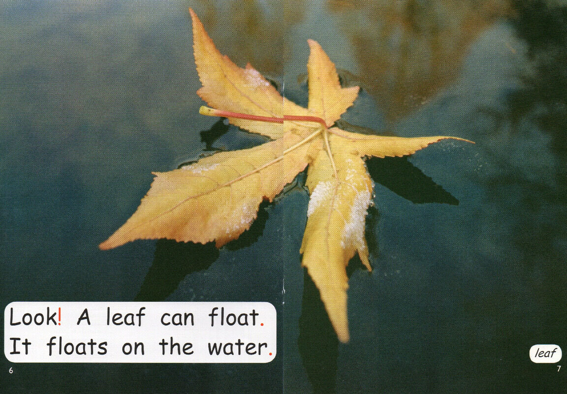 what can float绘本故事第5页