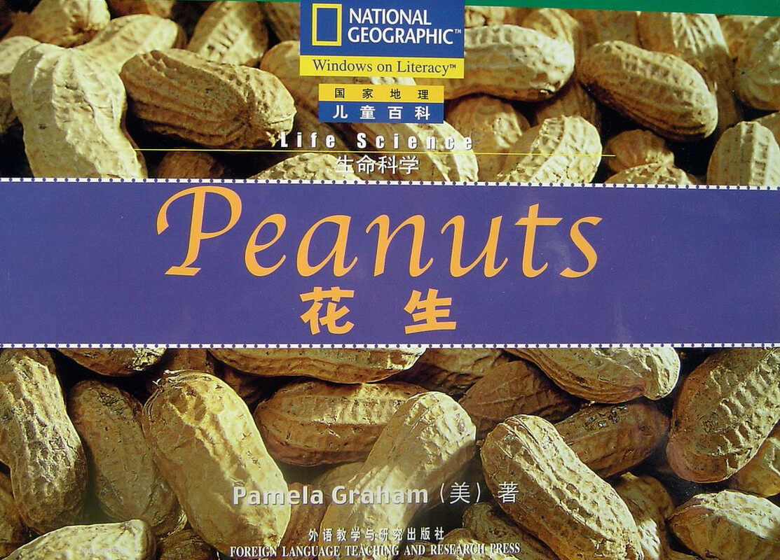 peanuts绘本故事第2页