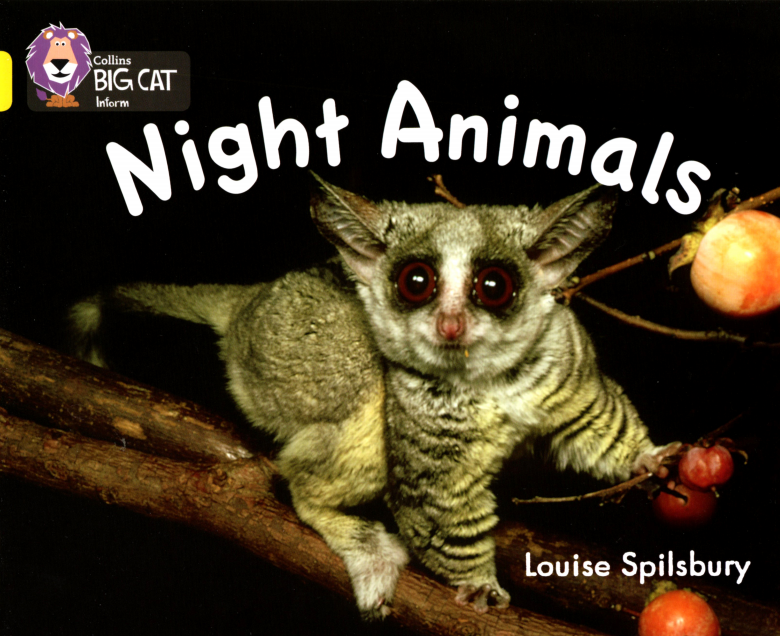 Night Animals绘本故事第2页