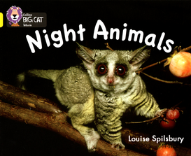Night Animals绘本故事第2页