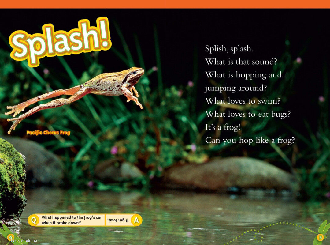 Frogs绘本故事第3页