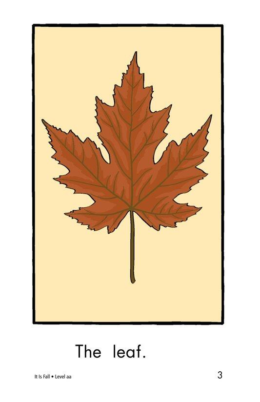 It Is Fall绘本故事第3页