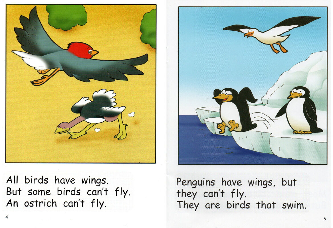 Why Is A Bird A Bird绘本故事第4页