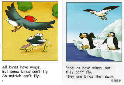 Why Is A Bird A Bird绘本故事第4页