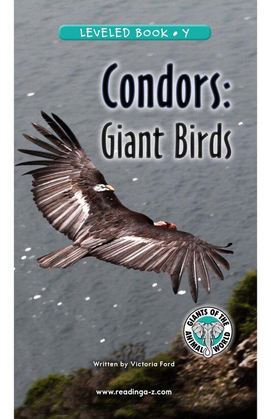 Condors Giant Birds绘本故事第2页