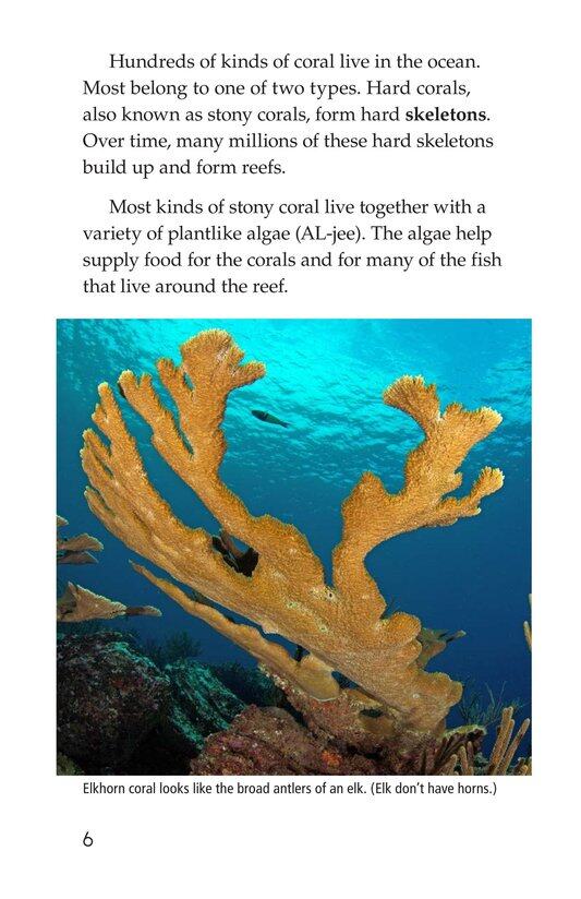 Coral Reefs绘本故事第5页
