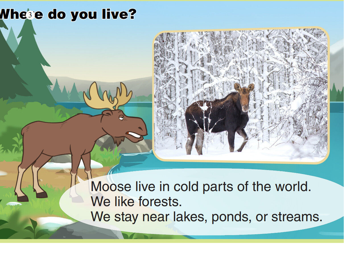 Moose绘本故事第4页