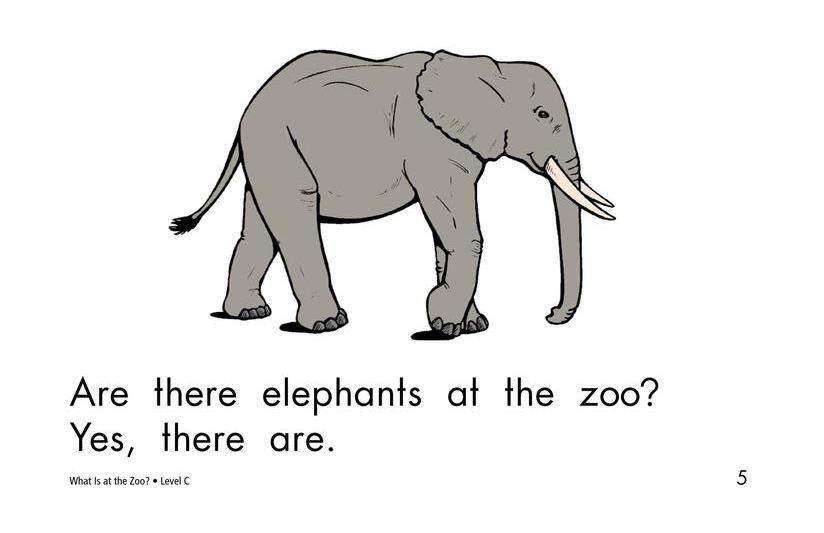 What Is at the Zoo绘本故事第5页