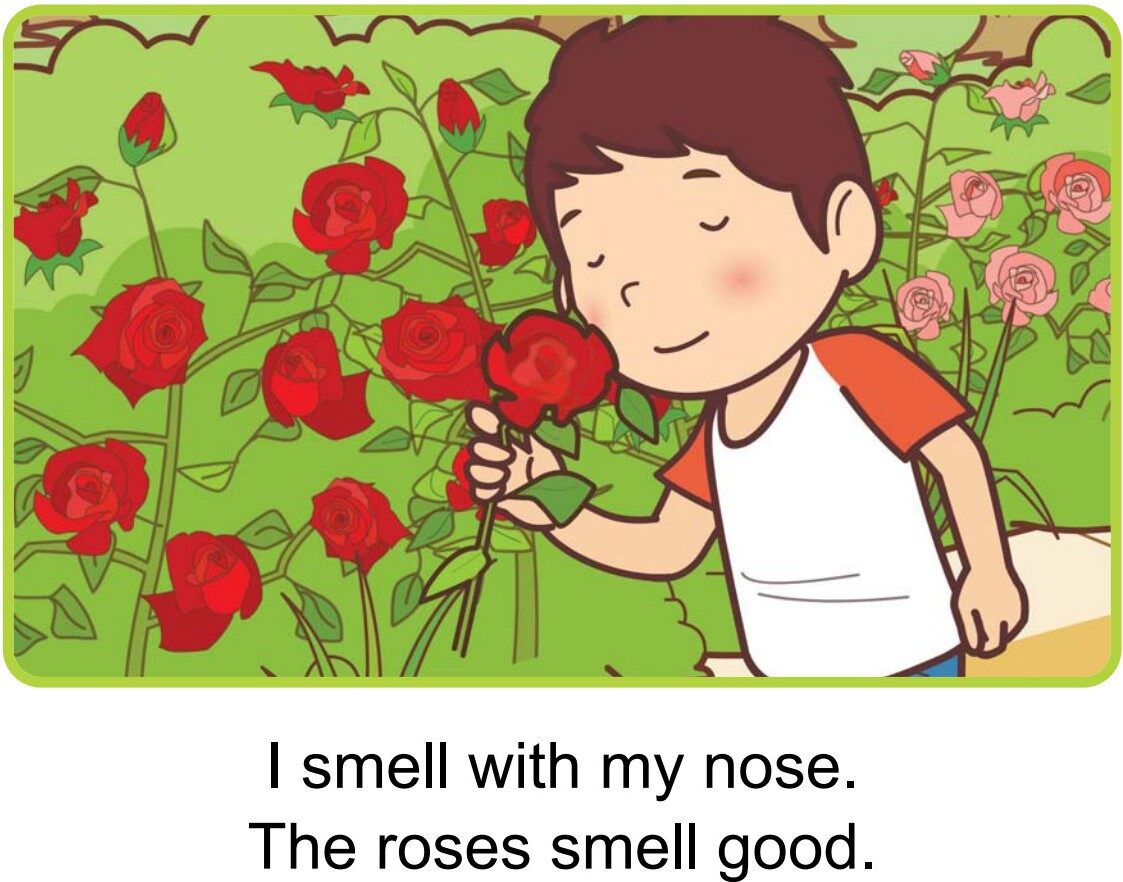 My Five Senses绘本故事第5页