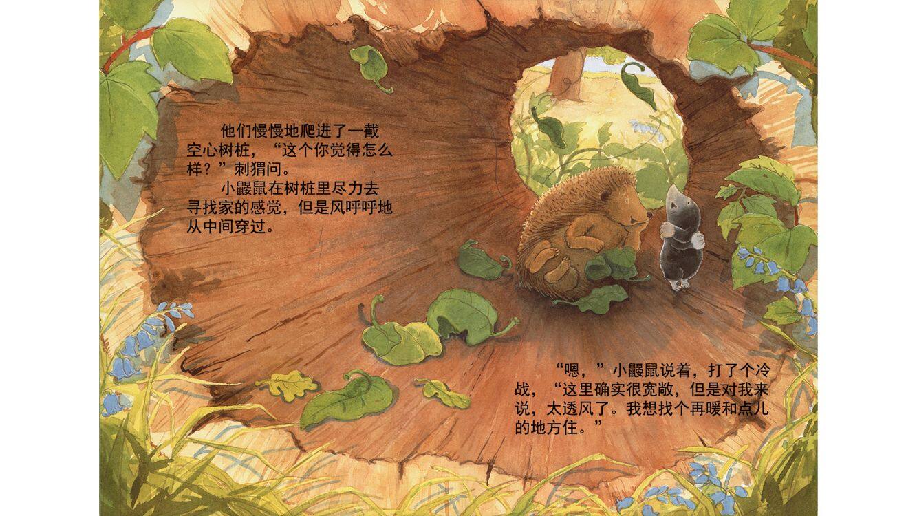 小鼹鼠找新家绘本故事第5页