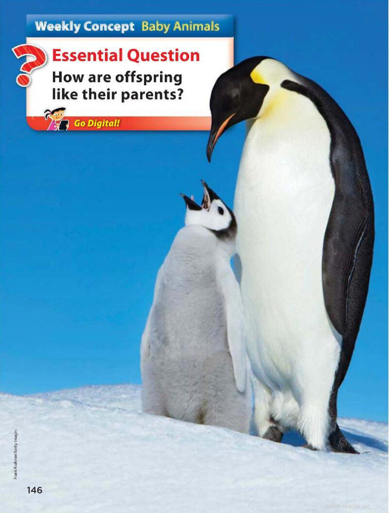 G2 Unit 2 Week 4绘本故事第2页