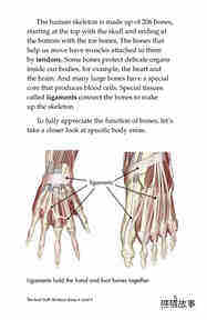 The Hard Stuff! All About Bones绘本故事第4页