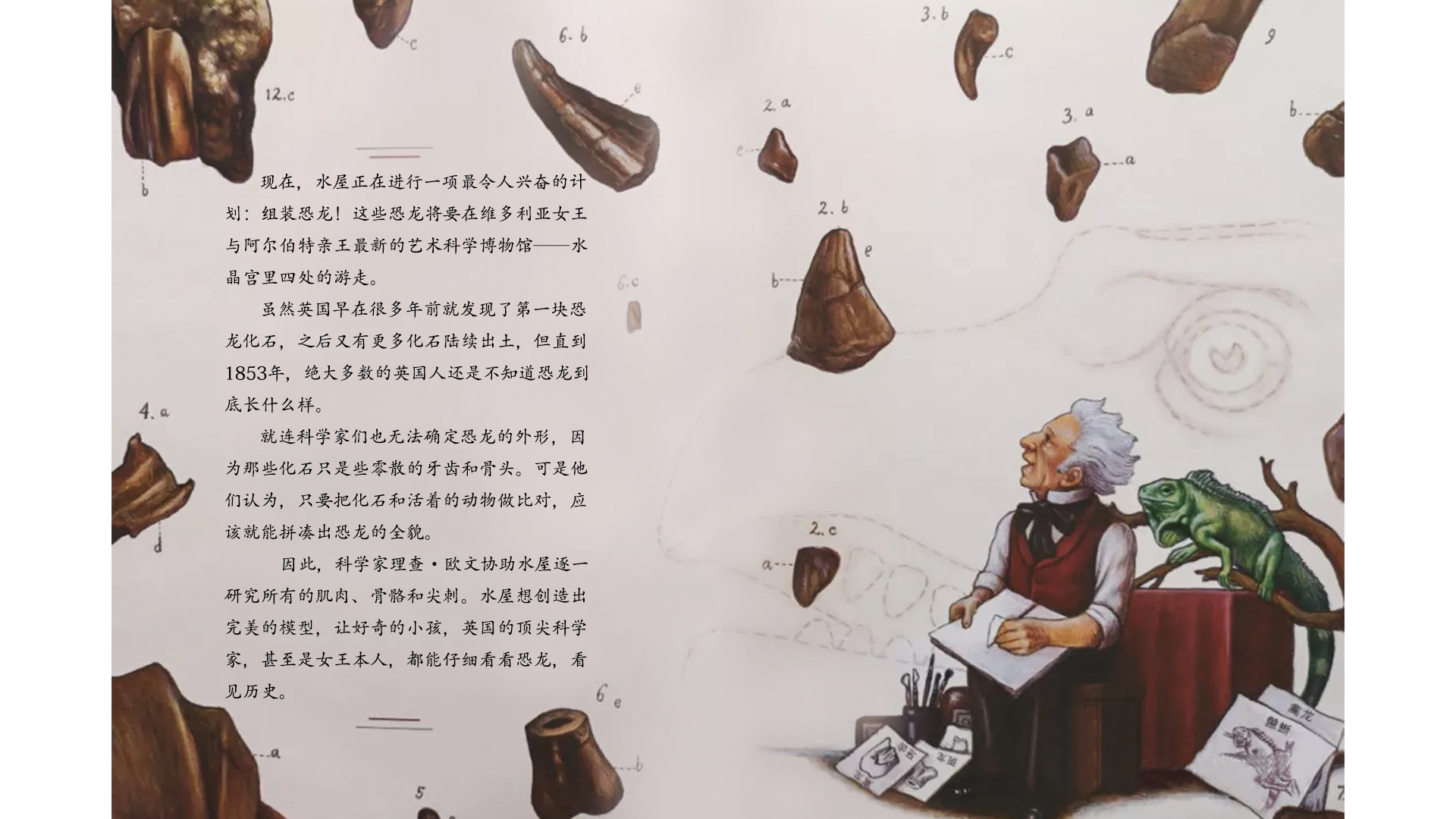 霍金斯的恐龙世界绘本故事第5页