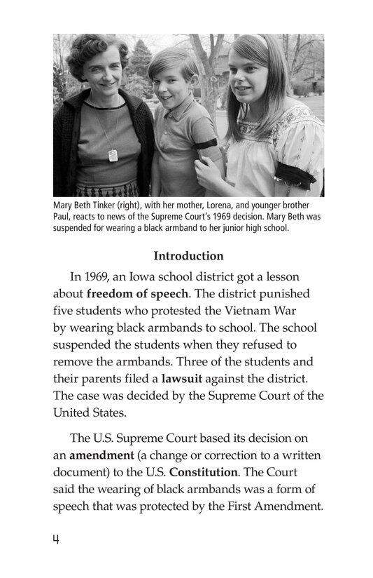 The Bill of Rights绘本故事第3页