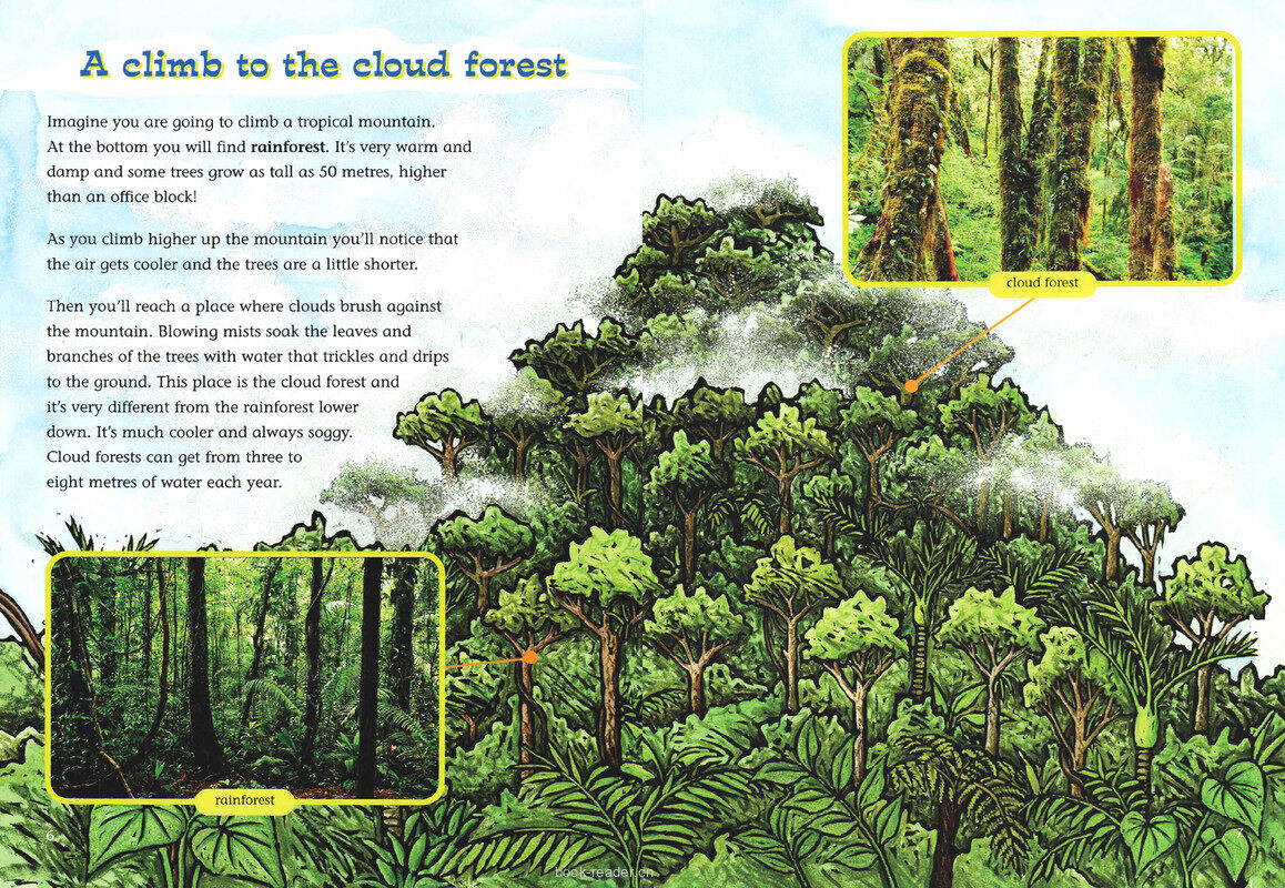 Cloud Forest绘本故事第5页