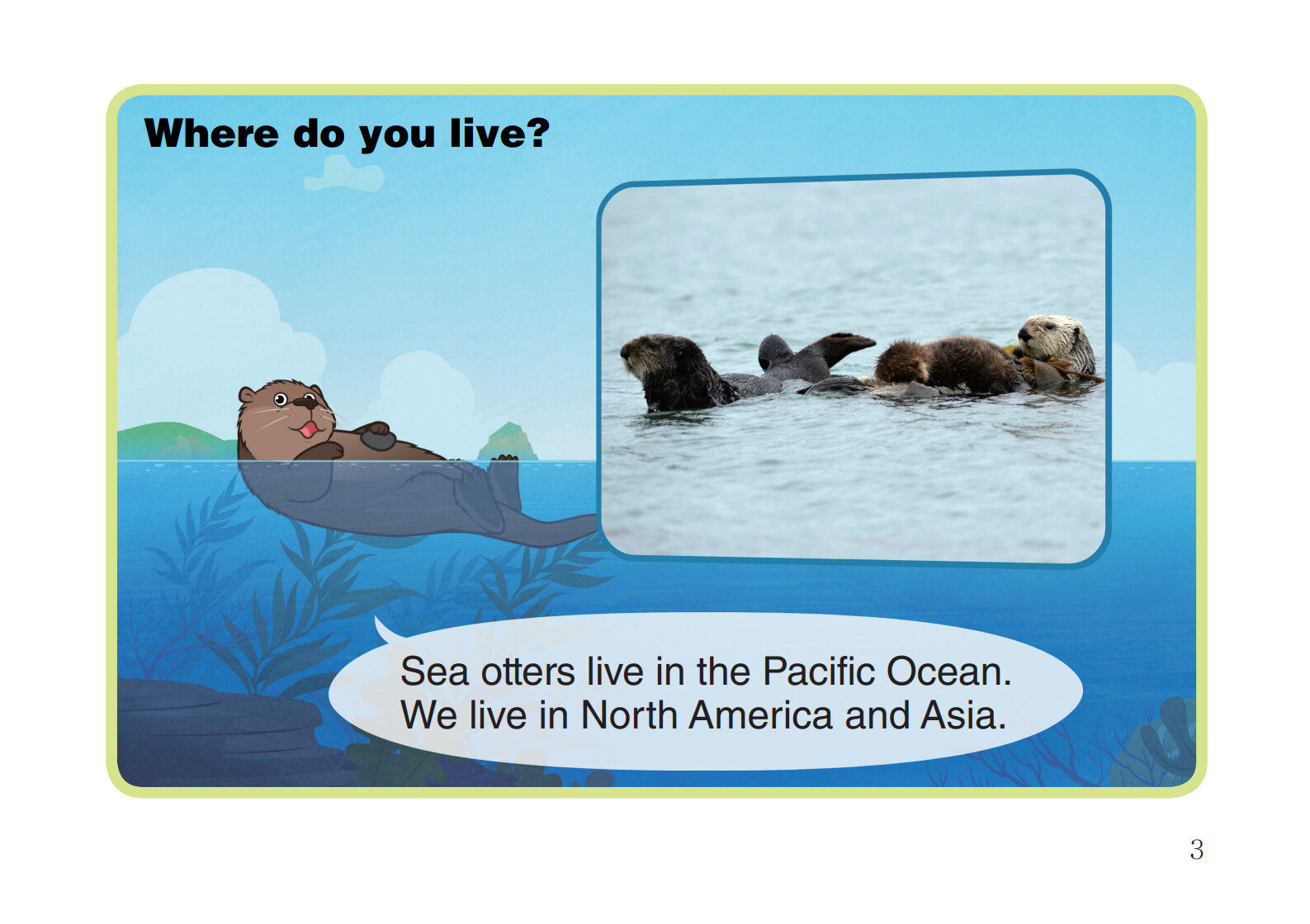 Sea Otter绘本故事第4页