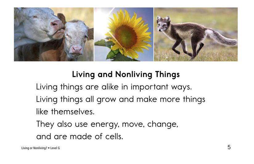 Living Or Nonliving绘本故事第4页