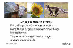 Living Or Nonliving绘本故事第4页
