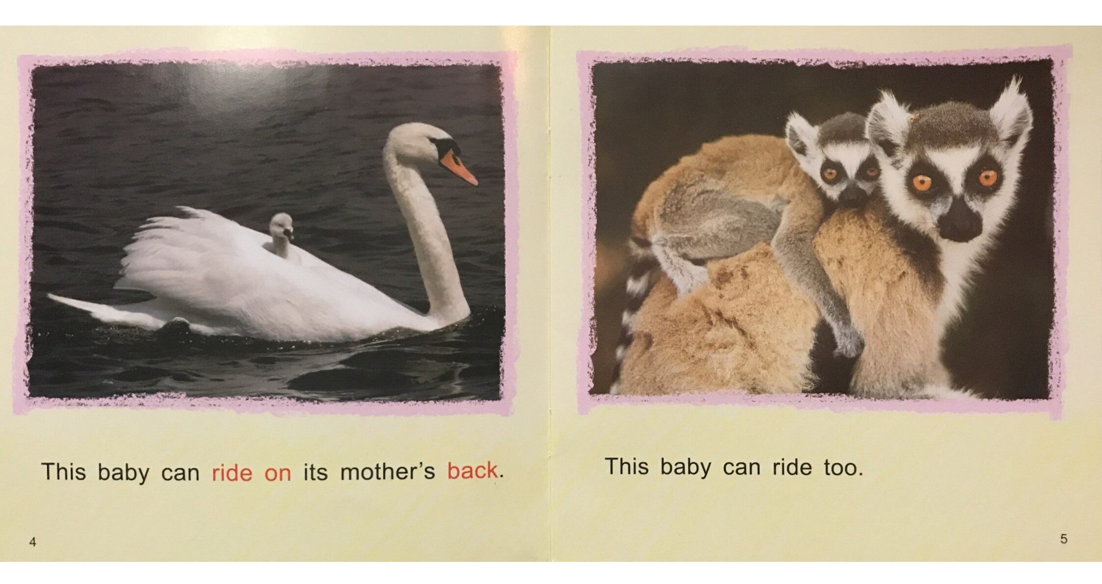 Animal Babies绘本故事第4页