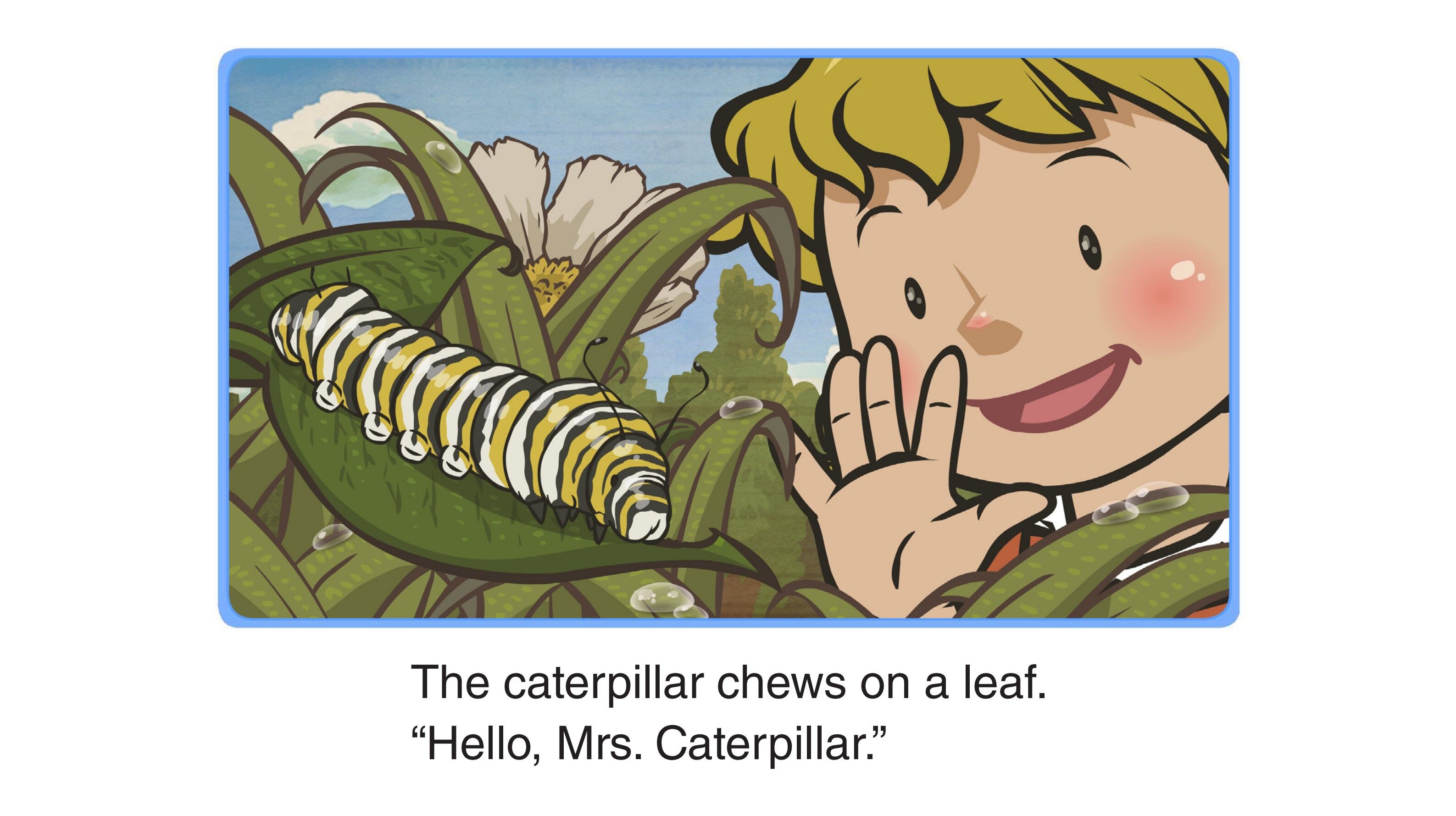 Visitors in My Garden绘本故事第4页