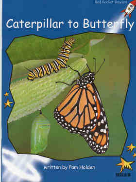 caterpillar to butterfly
