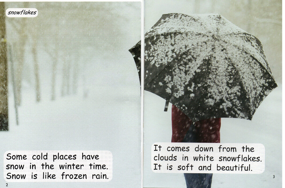 out in the snow绘本故事第3页