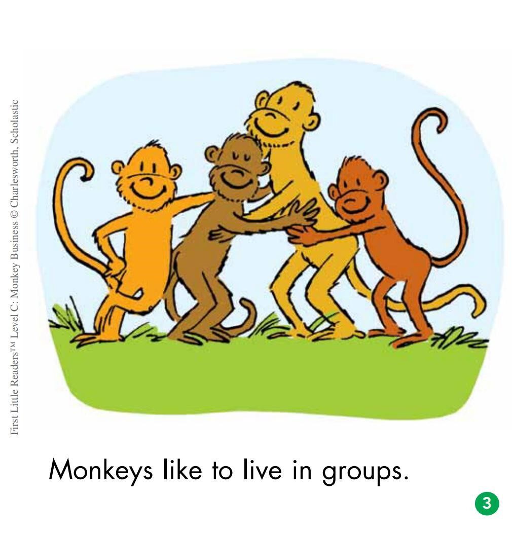 Monkey Business绘本故事第4页