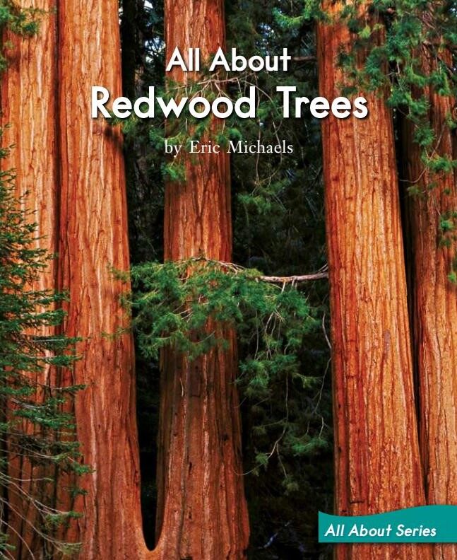 All About Redwood Trees绘本故事第2页