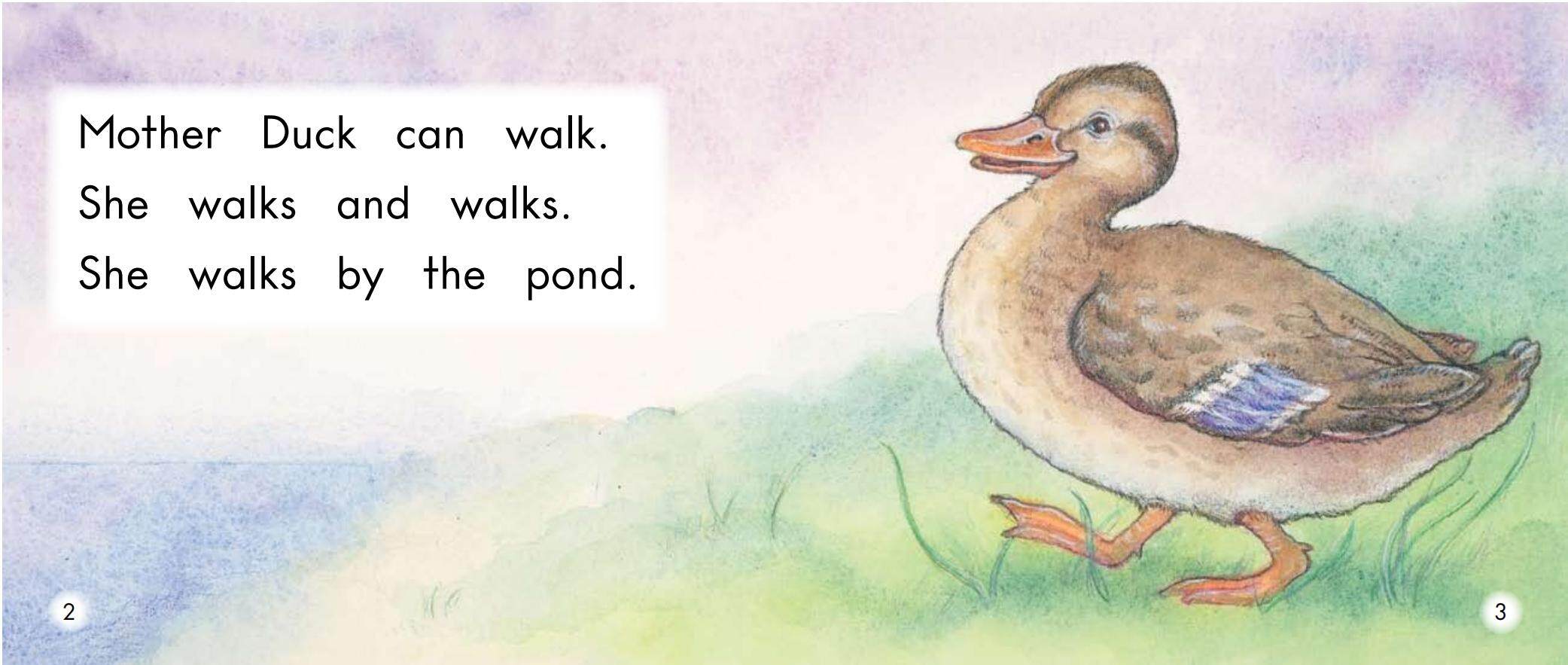 Flap, Flap, Fly绘本故事第3页