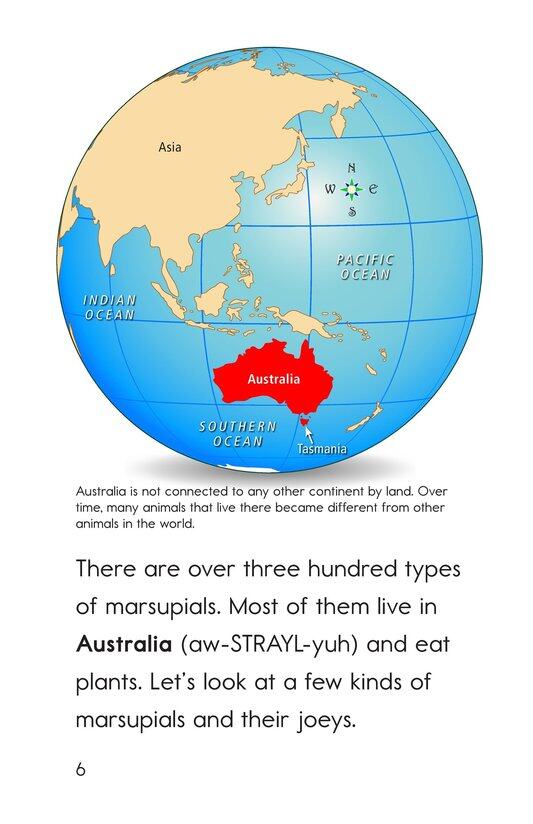 Where's the Joey绘本故事第5页