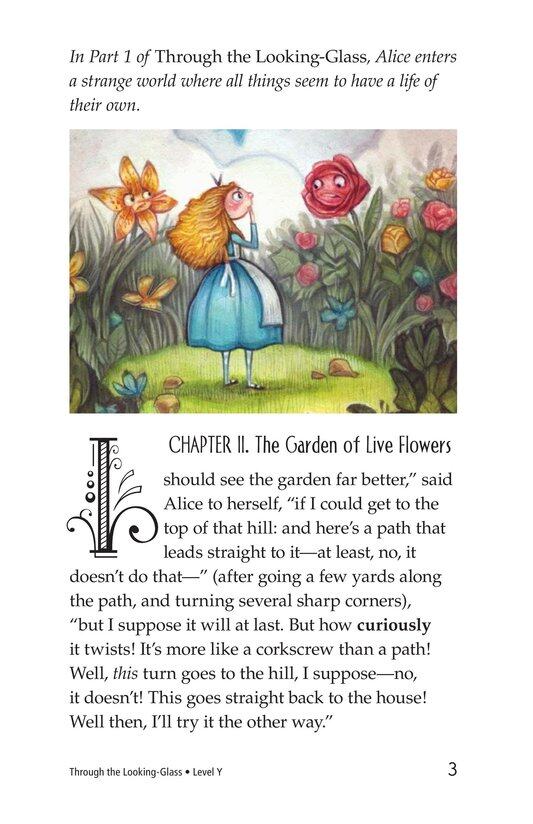 Through the Looking Glass (Part 2)绘本故事第3页